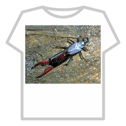 260px-Earwig_iruppu thumbnail